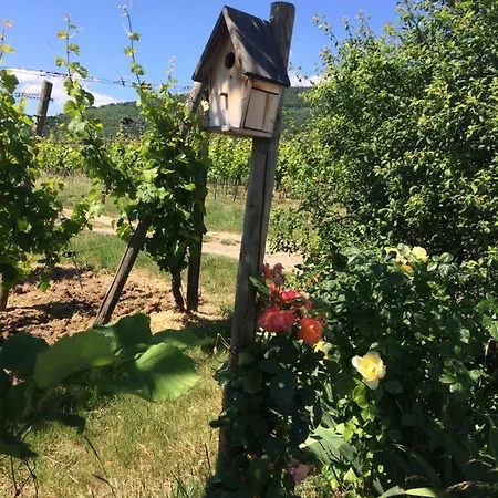 Le Mandle بيت للعطل ريكفيهر