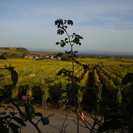 بيت للعطل Le Mandle