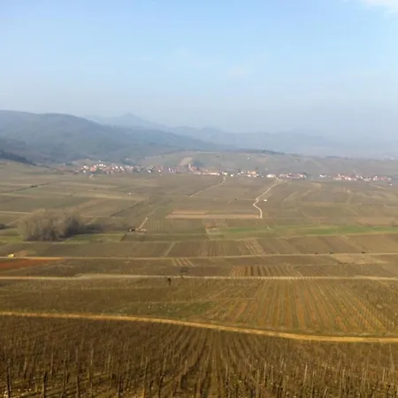 Le Mandle ريكفيهر