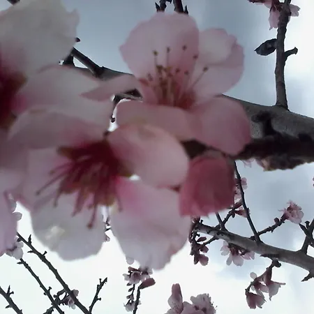 Le Mandle Prázdninový dům *