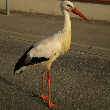 Le Mandle بيت للعطل *