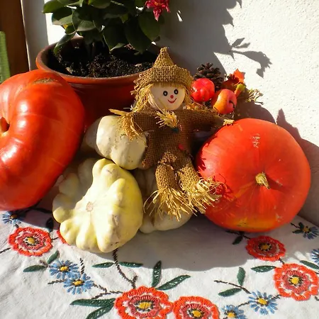 Prázdninový dům Le Mandle Riquewihr