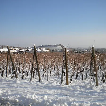 بيت للعطل Le Mandle