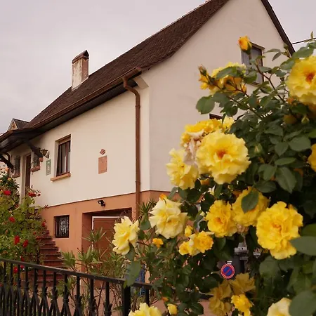 Le Mandle ريكفيهر