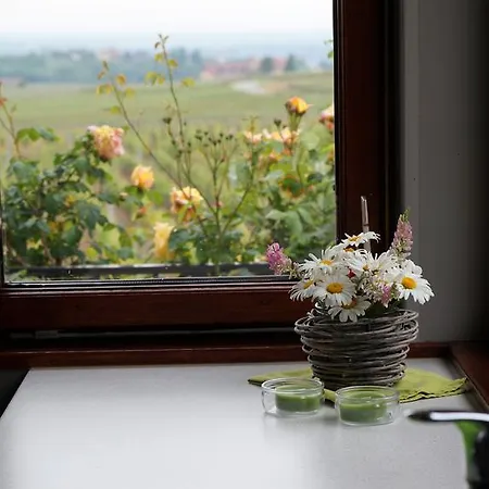 بيت للعطل Le Mandle