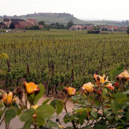 بيت للعطل Le Mandle *